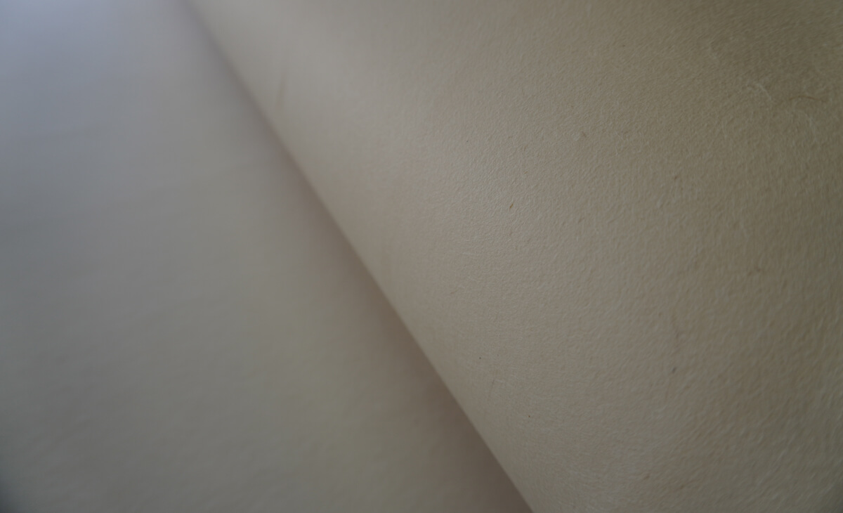 自然と文化を聴く